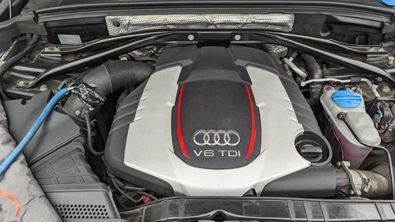 PXL_20240220_100353219