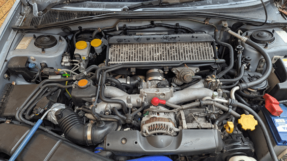 DPF Cleaning20250128_125946822 DPF Clean